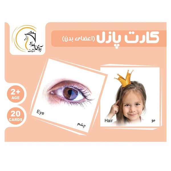بازی فکری آوای باران مدل کارت اعضای بدن کد 20