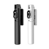 پایه مونوپاد استند مدل P20
