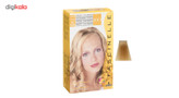 كيت رنگ مو فشینلی سری Blonde مدل بلوند - پلاتيني شماره 100